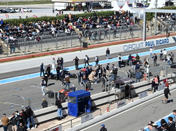 mini_grand-prix-du-castellet-2024-66276231f2898.jpg