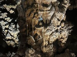 Illustration de la galerie