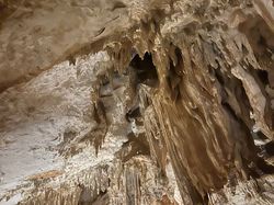 Illustration de la galerie