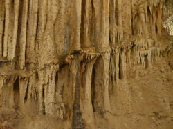 mini_la-grotte-des-demoiselles-mars-2026-69ac663c80156.jpg