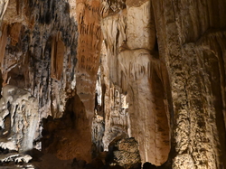 mini_la-grotte-des-demoiselles-mars-2026-69ac663e6d209.jpg