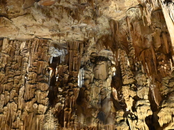 mini_la-grotte-des-demoiselles-mars-2026-69ac66405d7fb.jpg
