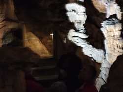 Illustration de la galerie