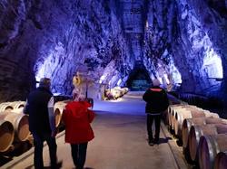 Illustration de la galerie