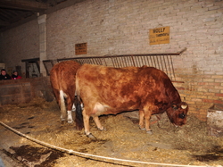 Illustration de la galerie