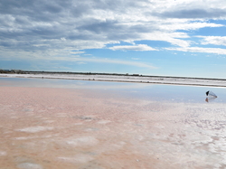 Illustration de la galerie