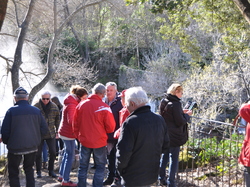 Illustration de la galerie