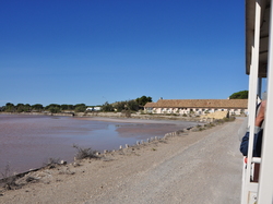 mini_sortie-salins-du-midi-14-septembre-2024-66e5c4b13d8a6.jpg