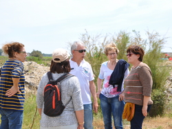 Illustration de la galerie